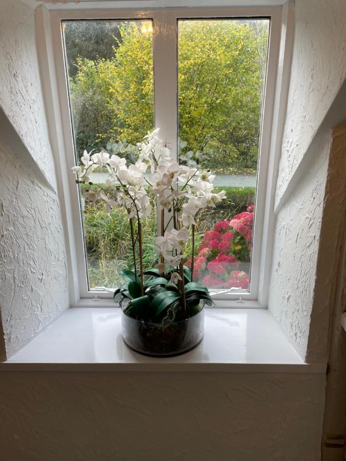 Canalside Cottage In The Heart Of Llangollen. Luaran gambar
